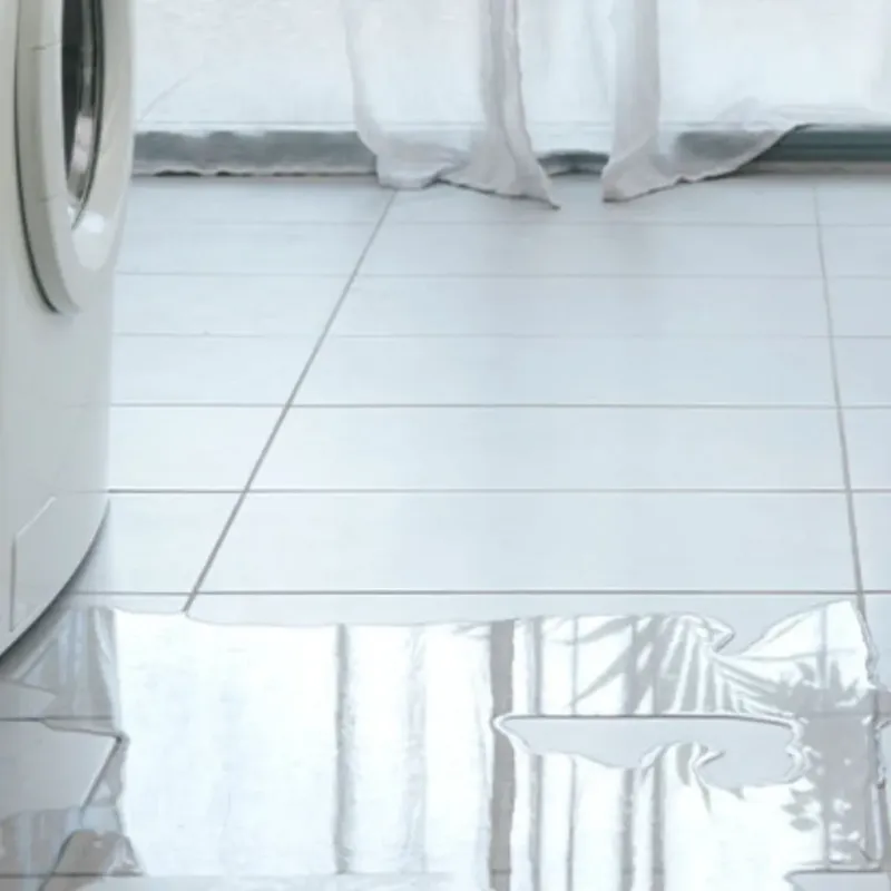 Appliance Leak Cleanup in Nokomis, IL