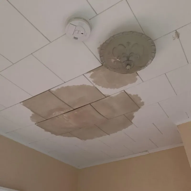 Ceiling Water Damage Repair in Nokomis, IL