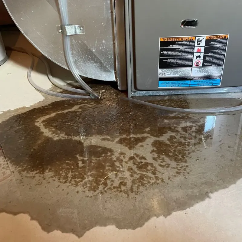 Pipe Burst and Leak Restoration in Nokomis, IL