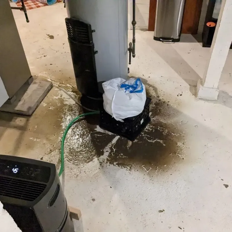 Sewage Backup Cleanup Service in Nokomis, IL